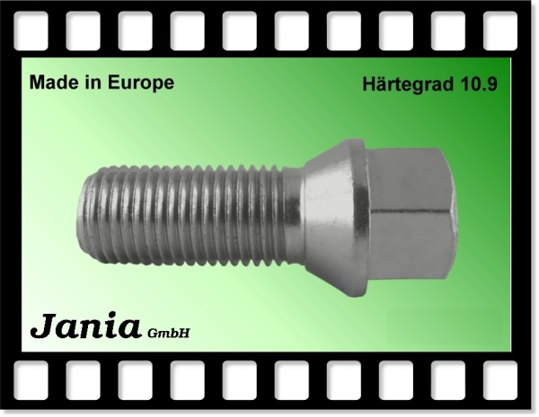 6095 - Kegelschraube M14x1,25x55 SW17 verzinkt