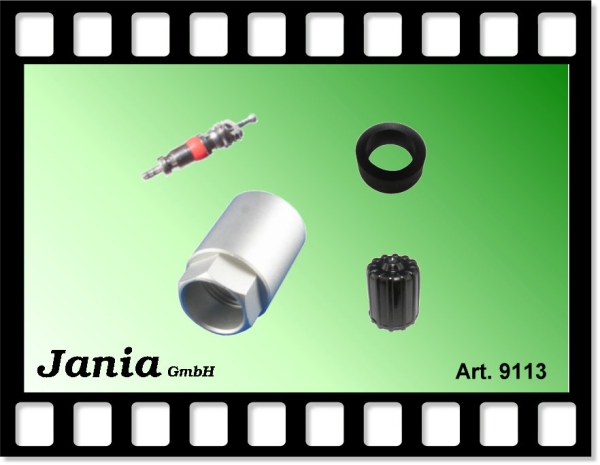 9113 - Servicekit für Schrader - silber